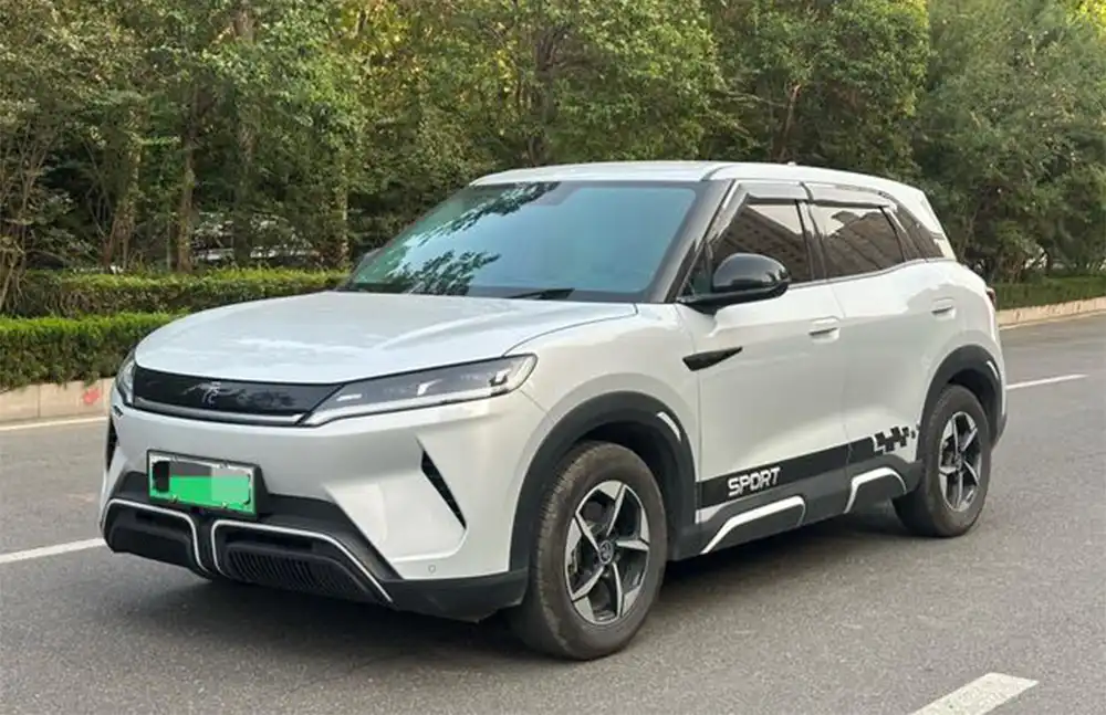 Modelo Yuan UP 2024 usado, 301KM Leading Edition