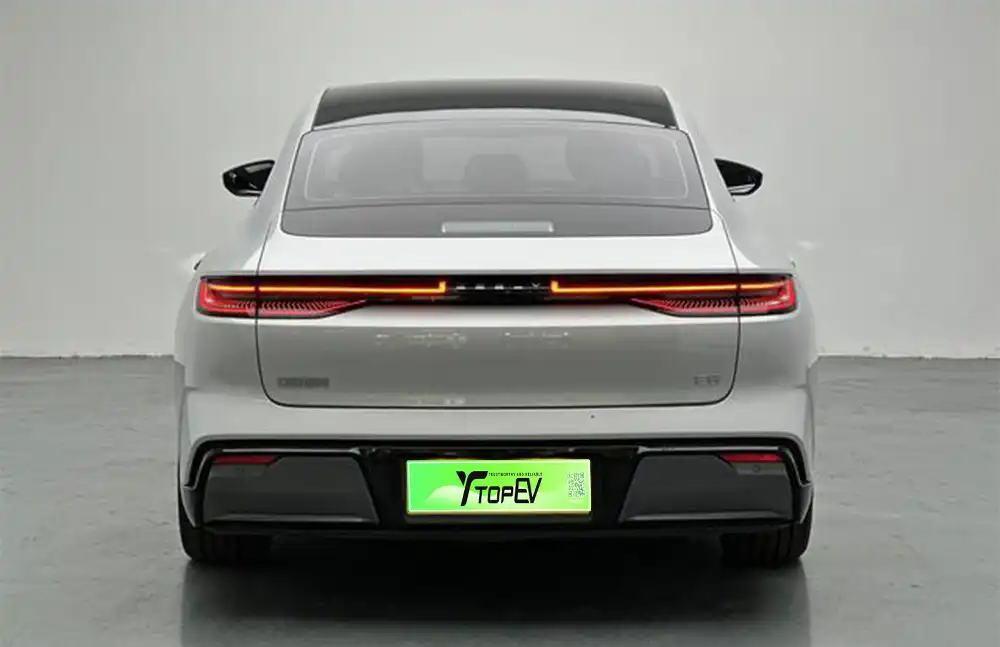 Galaxy E8 2024 usado, modelo 550 km PRO