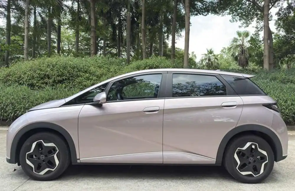 BYD Dolphin 2021 Fashion Edition de segunda mano