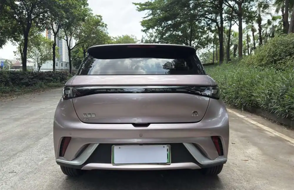 BYD Dolphin 2021 Fashion Edition de segunda mano